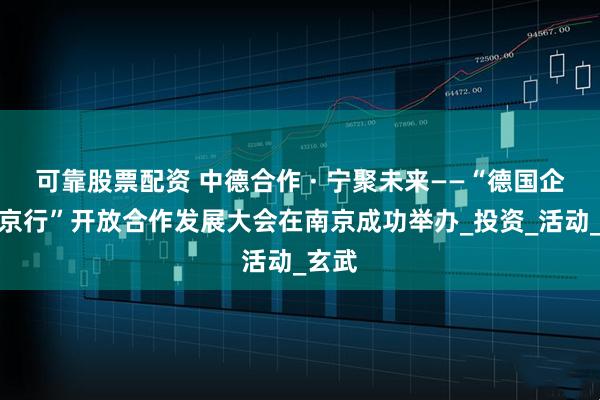 可靠股票配资 中德合作 · 宁聚未来——“德国企业南京行”开放合作发展大会在南京成功举办_投资_活动_玄武